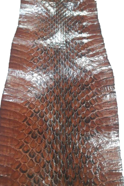 EXOTIC LEATHER WATER SNAKE T005686 NO 27