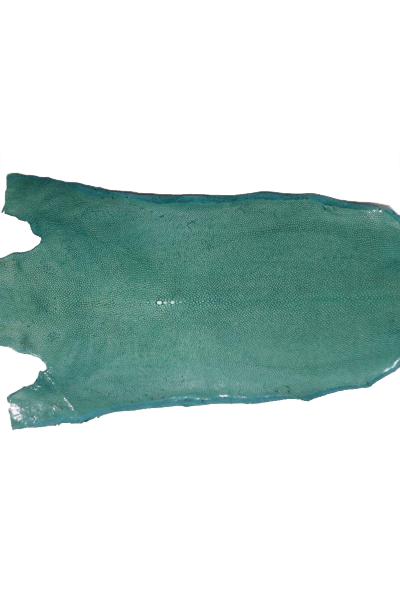 EXOTIC LEATHER STINGRAY GREEN T015750